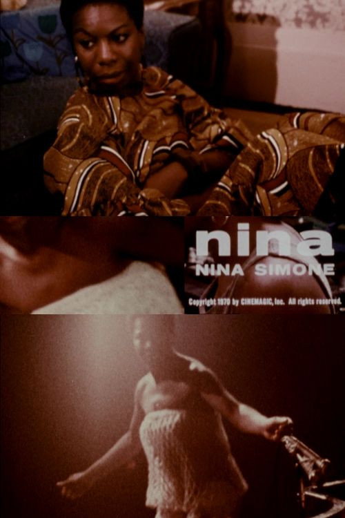Nina: A Historical Perspective poster