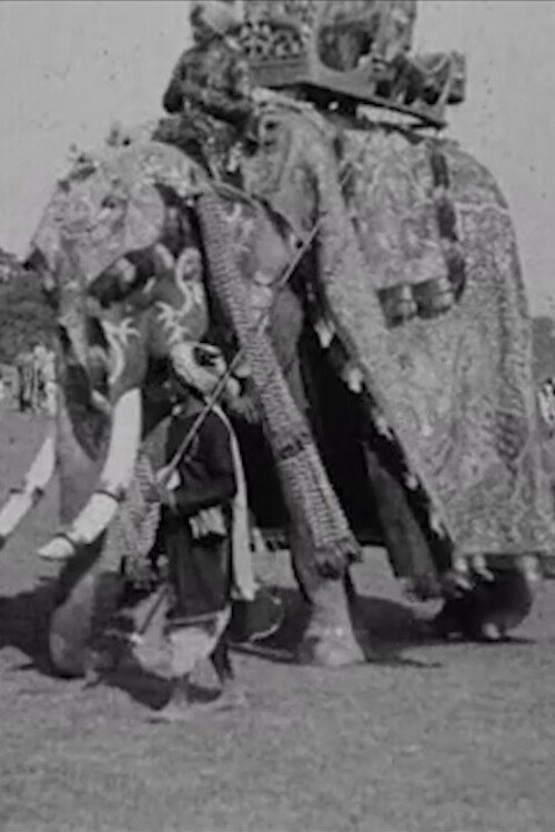 Calcutta Pageant poster