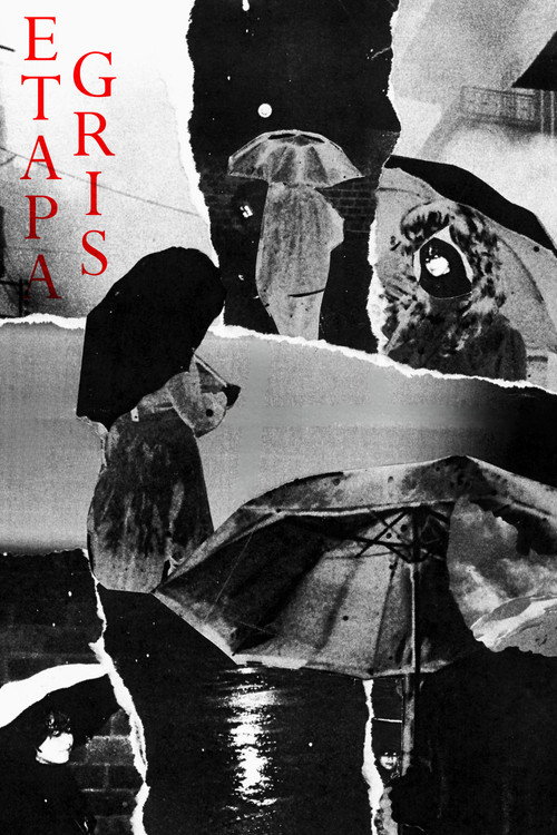 Gray Stage poster