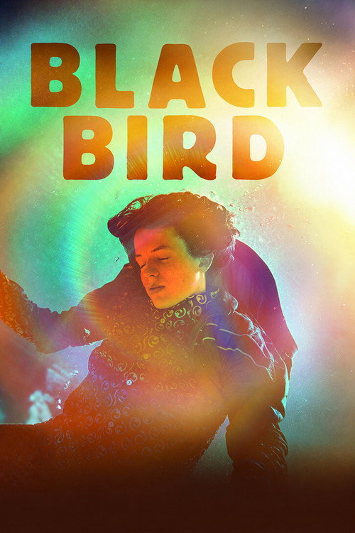 Blackbird poster