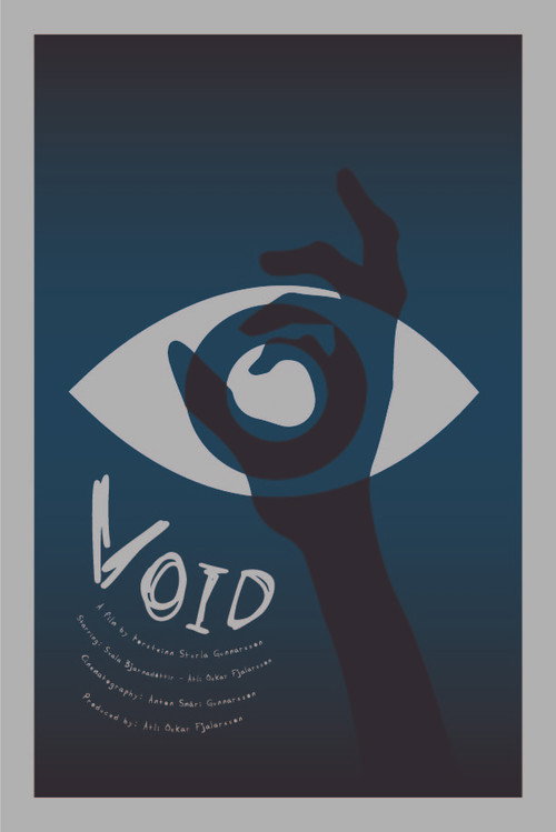Void poster