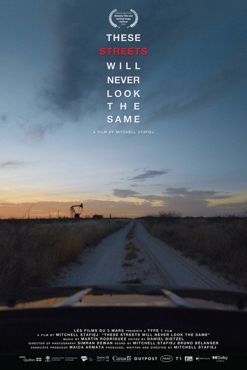 These Streets Will Never Look the Same poster