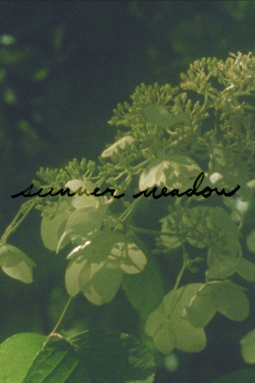 Summer Meadow poster