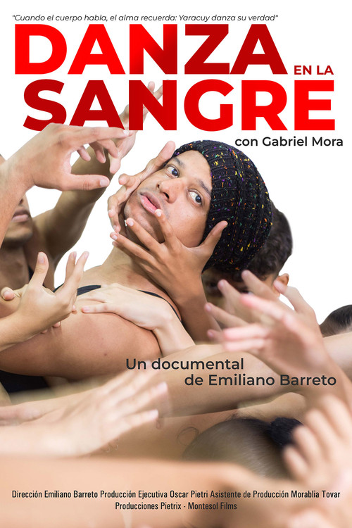 Danza en la sangre poster