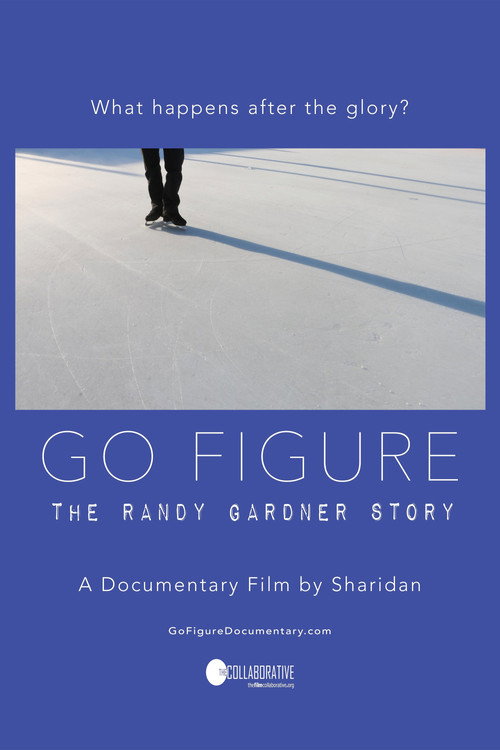 Go Figure poster