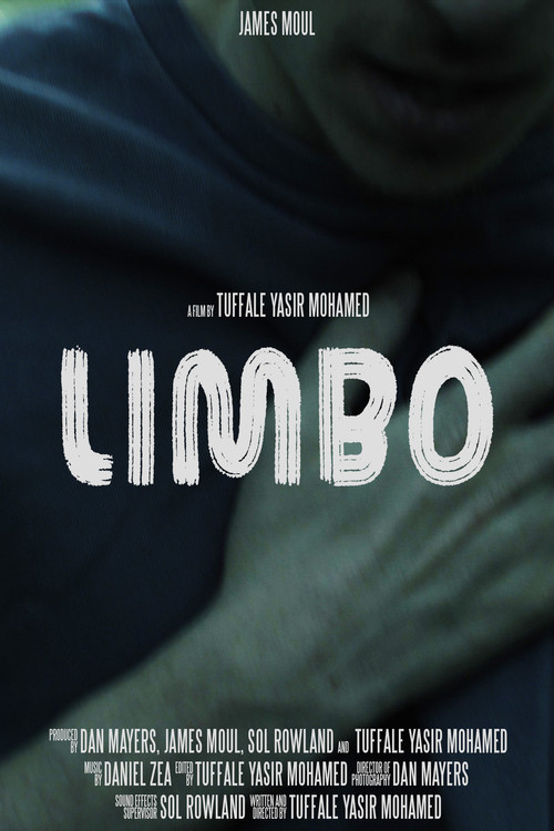 Limbo poster