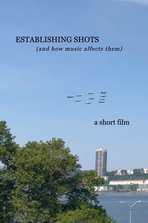Establishing Shots (and how music affects them) poster