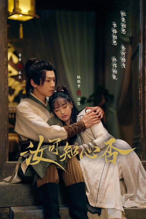 How Can I Love You poster