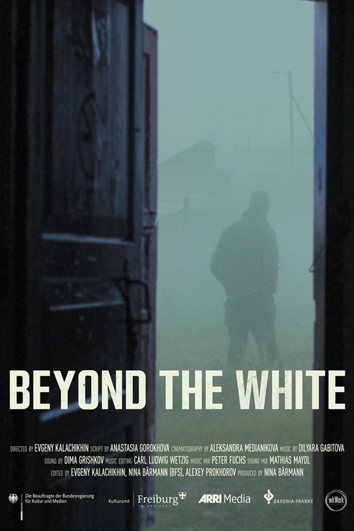 Beyond the White poster