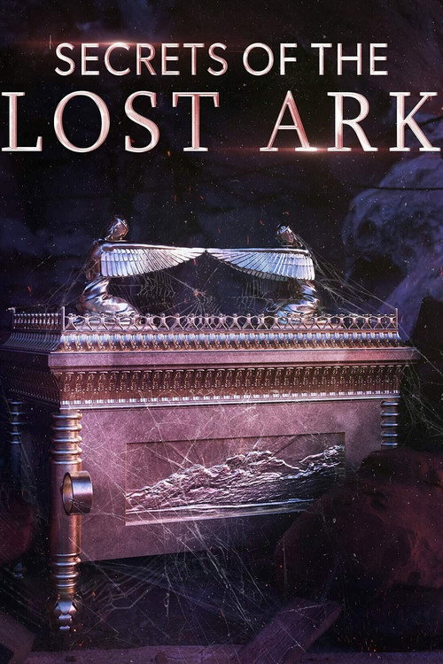 Secrets of the Lost Ark poster