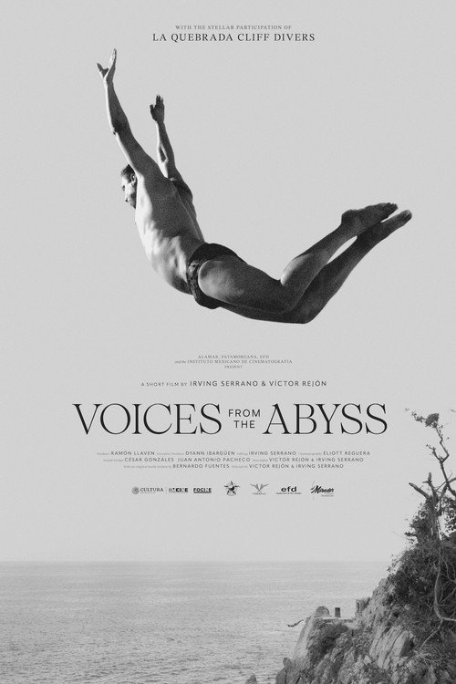 Voices from the Abyss poster