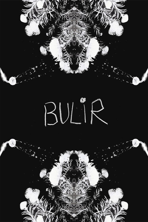 BULIR poster