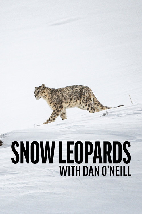 Snow Leopards with Dan O'Neill poster