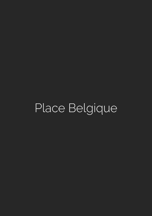 Place Belgique poster