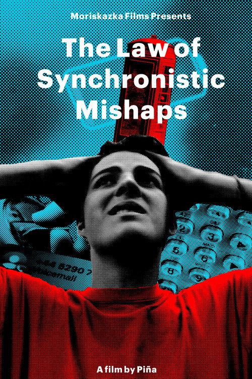The Law of Synchronistic Mishaps poster