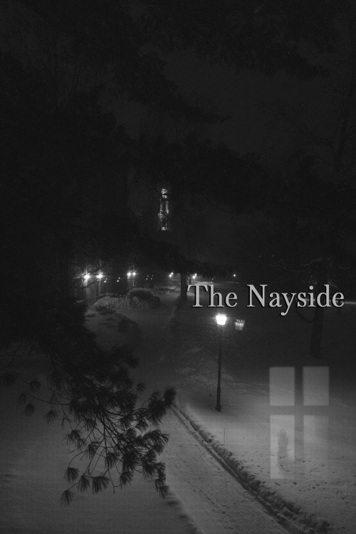 The Nayside poster