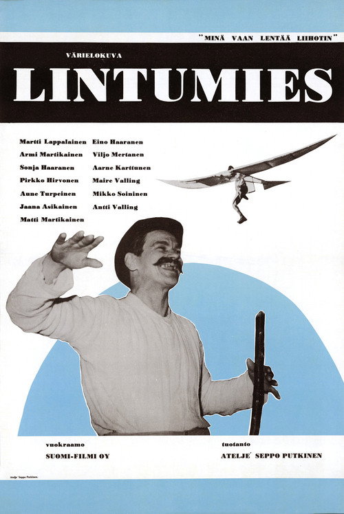 Lintumies poster