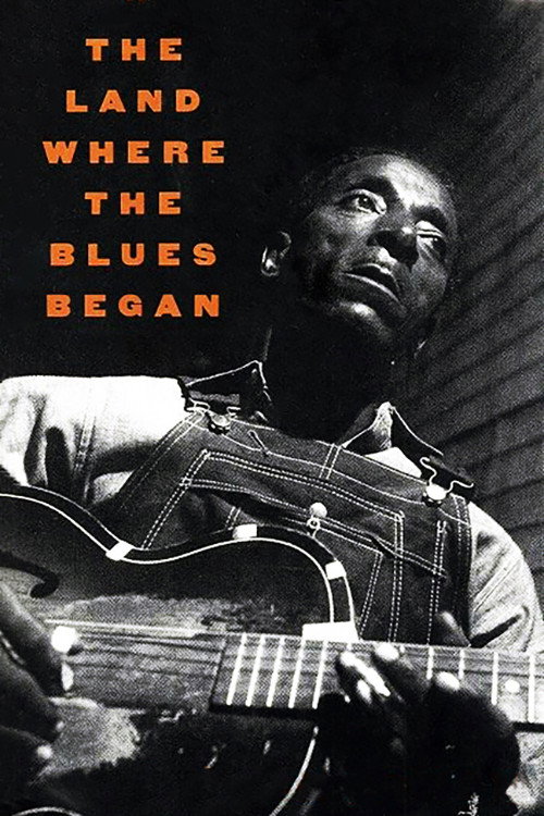 The Land Where the Blues Began poster