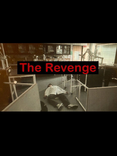 The Revenge poster
