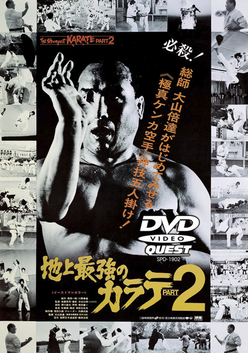 The Strongest Karate Part 2 poster