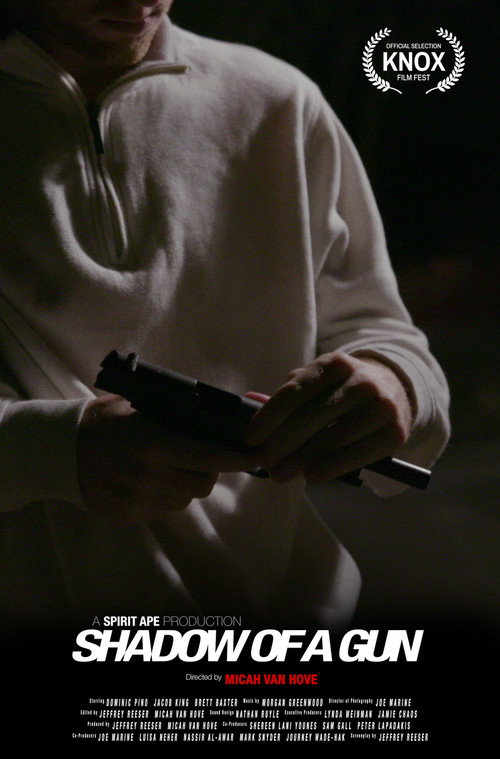 Shadow of a Gun poster