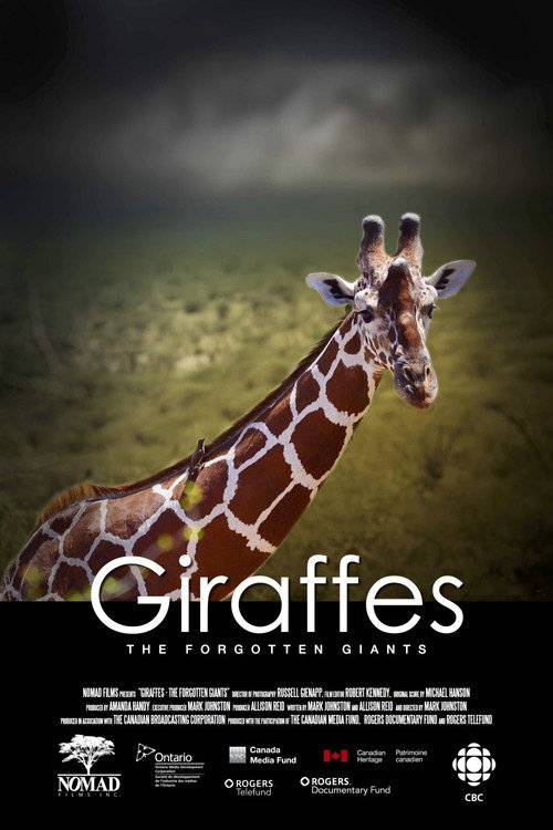Giraffes: The Forgotten Giants poster