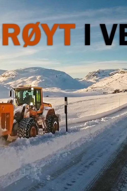 Brøyt i vei poster