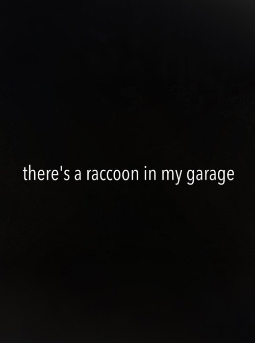 There's a Raccoon in My Garage poster