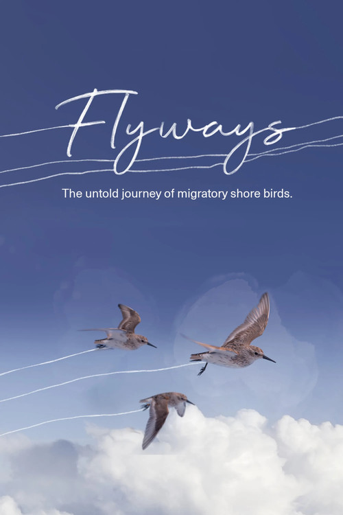 Flyways: The Untold Journey of Migratory Shorebirds poster