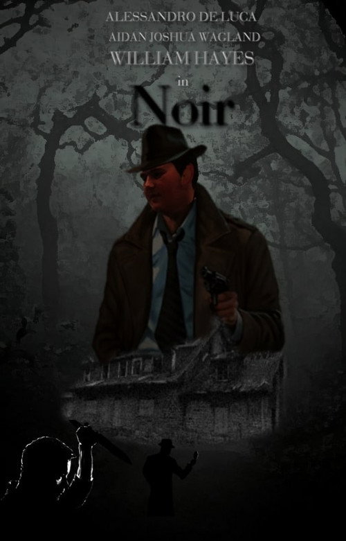 Noir poster
