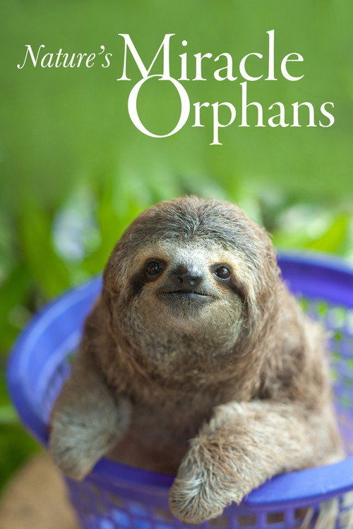 Nature's Miracle Orphans poster