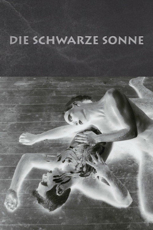 The Black Sun poster
