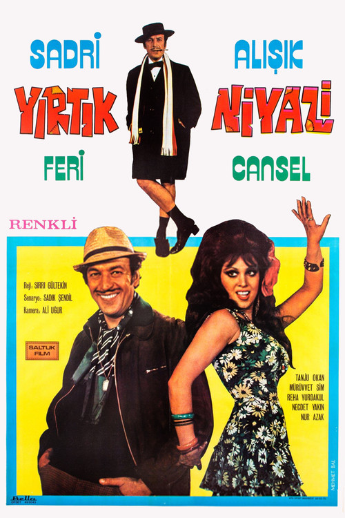 Yırtık Niyazi poster