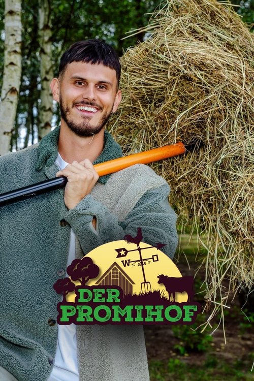 Der Promihof poster