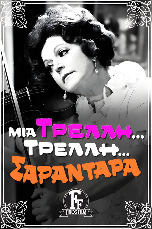 A Crazy... Crazy... 40-Year-Old Woman poster