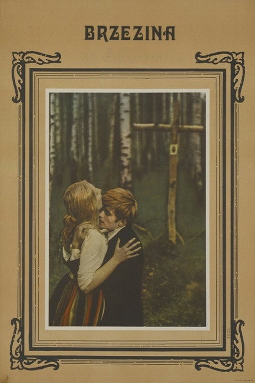 The Birch Wood poster
