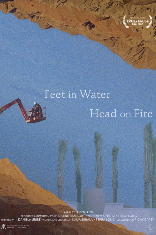 Feet in Water, Head on Fire poster