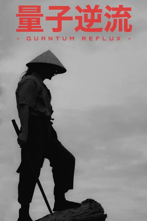 Quantum Reflux poster