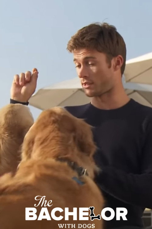 The Bachelor with Dogs and Scott Eastwood poster