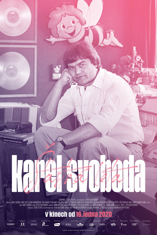 Karel Svoboda: Šťastná léta poster