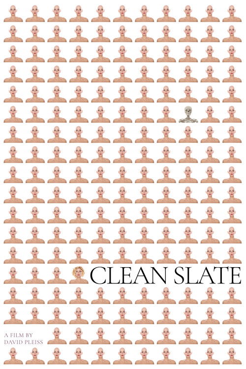Clean Slate poster