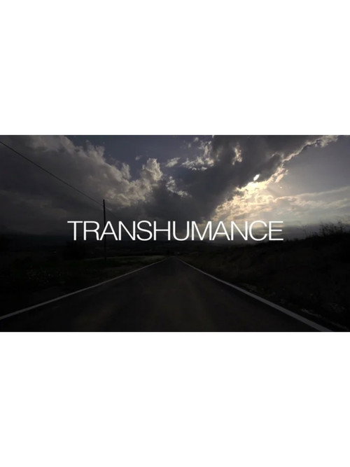 Transumanza poster