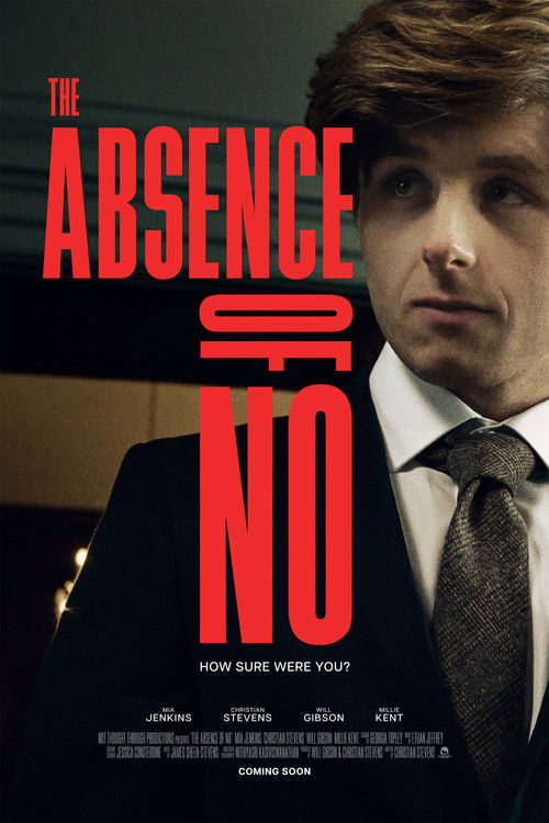 The Absence of No poster