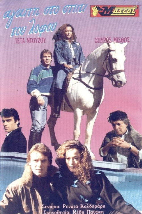 Love at the Hill House poster