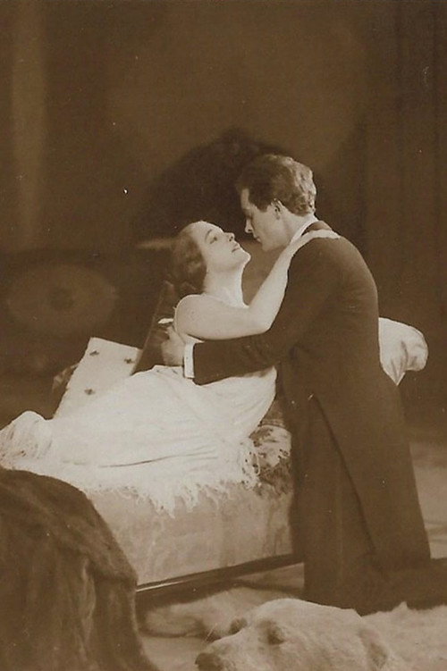 Countess Donelli poster