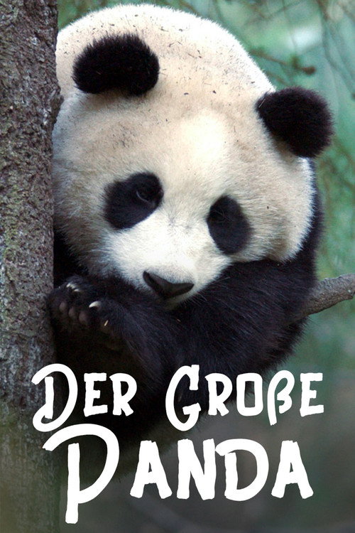 The Giant Panda poster