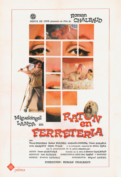 Ratón en Ferretería poster