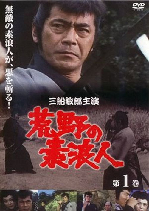 Ronin of the Wastelands poster