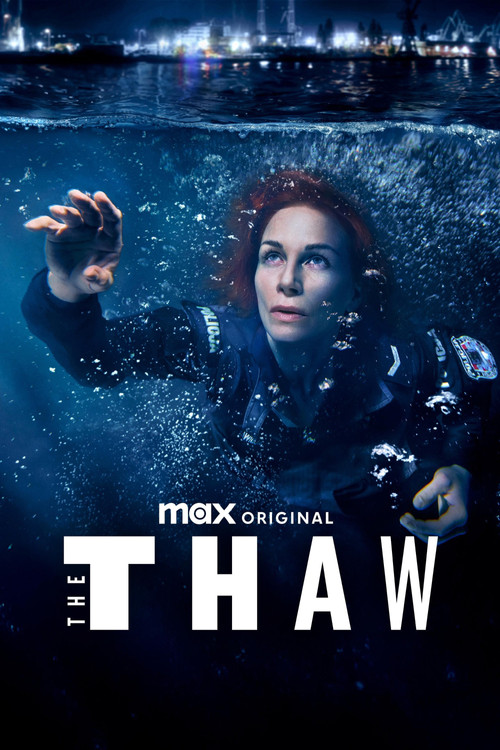 The Thaw poster