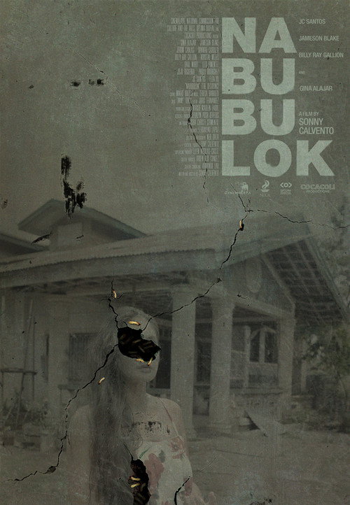 The Decaying poster